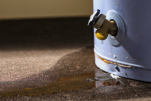 Best 24/7 water damage repair  in Lugoff, SC
