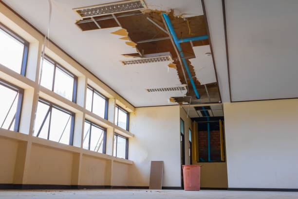 Best Water damage restoration mold remediation  in Lugoff, SC
