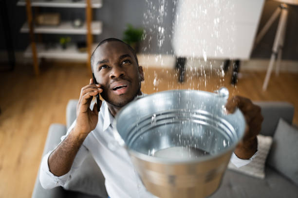 Best Professional water damage repair  in Lugoff, SC