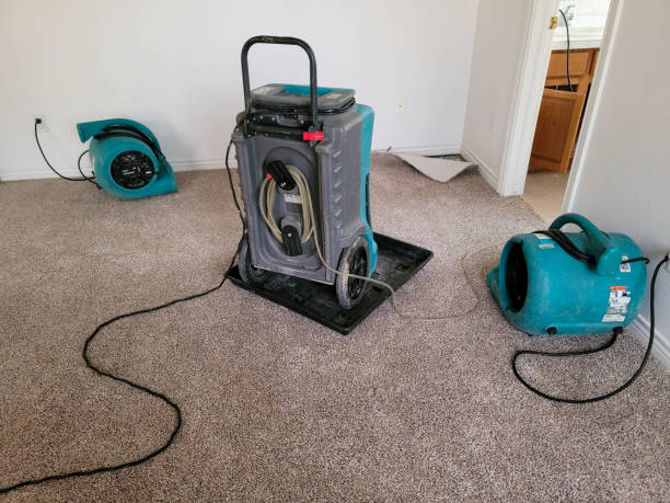 Trusted Lugoff, SC Water damage restoration Experts