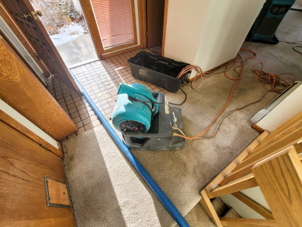 Best Flood restoration services  in Lugoff, SC