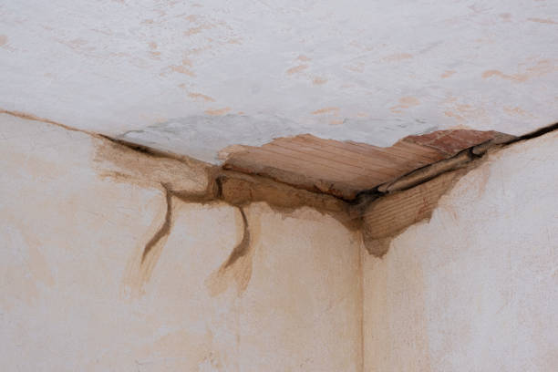 Best Water damage restoration specialists  in Lugoff, SC