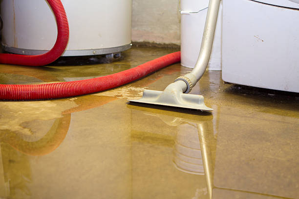  Lugoff, SC Water damage restoration Pros