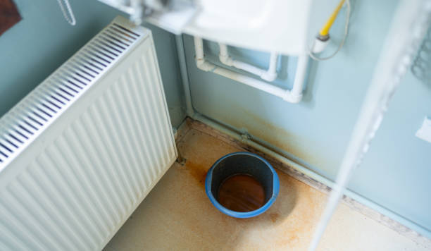 Best Water damage cleanup near me  in Lugoff, SC